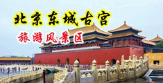 女生小骚逼乳射内桶的视频中国北京-东城古宫旅游风景区